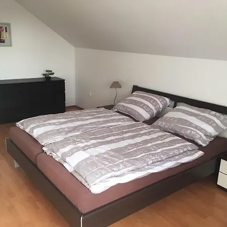 Holiday House Krkonose 펜션 메라드바키